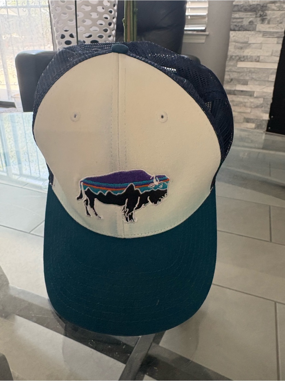 Patagonia Teal, Navy & White Buffalo Trucker Hat